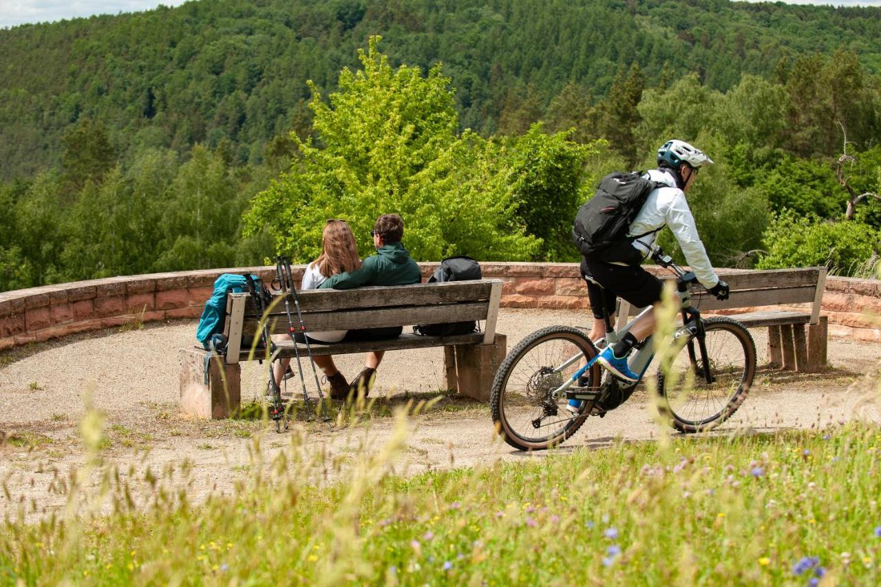 Hotel Landgasthof Oberschnorrhof Dammbach Luaran gambar