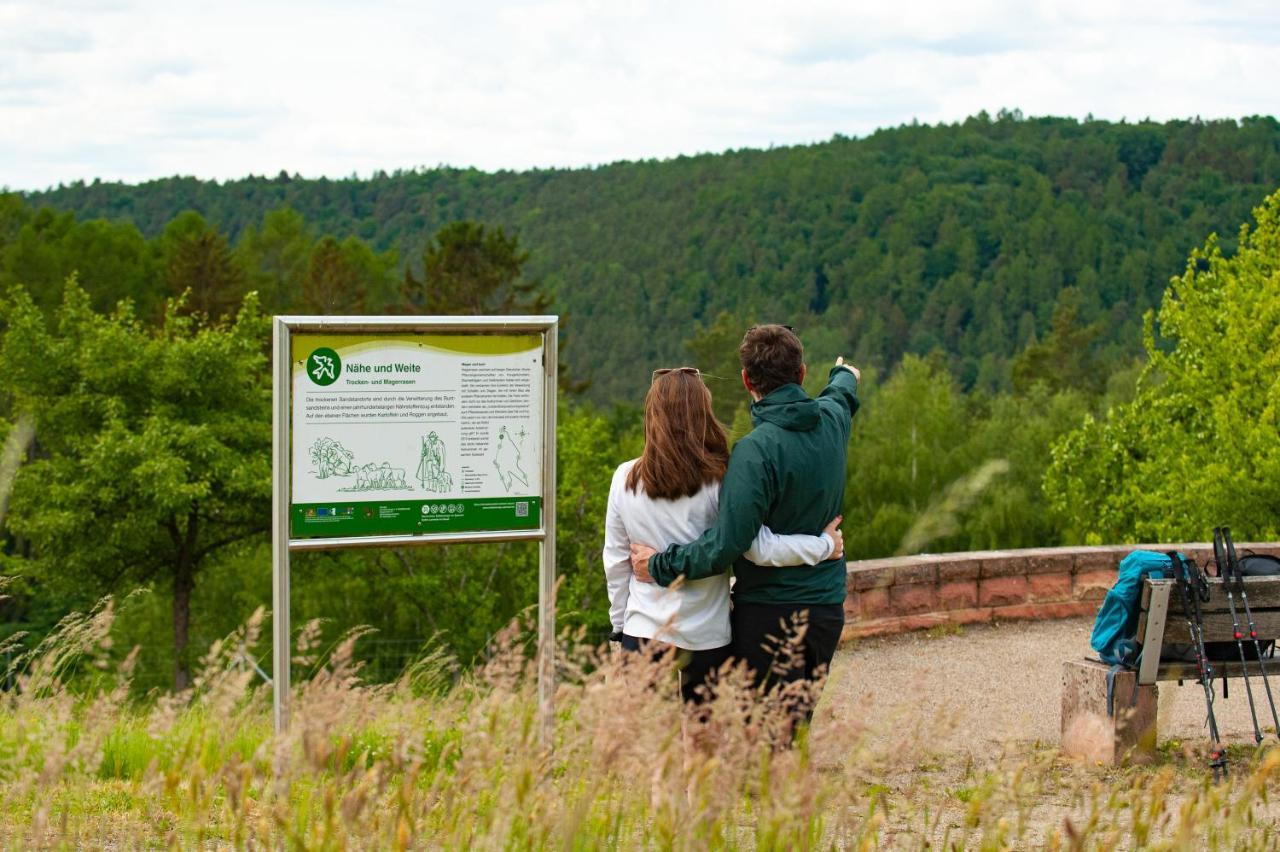 Hotel Landgasthof Oberschnorrhof Dammbach Luaran gambar